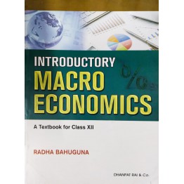 Introductory Macro Economics - 12
